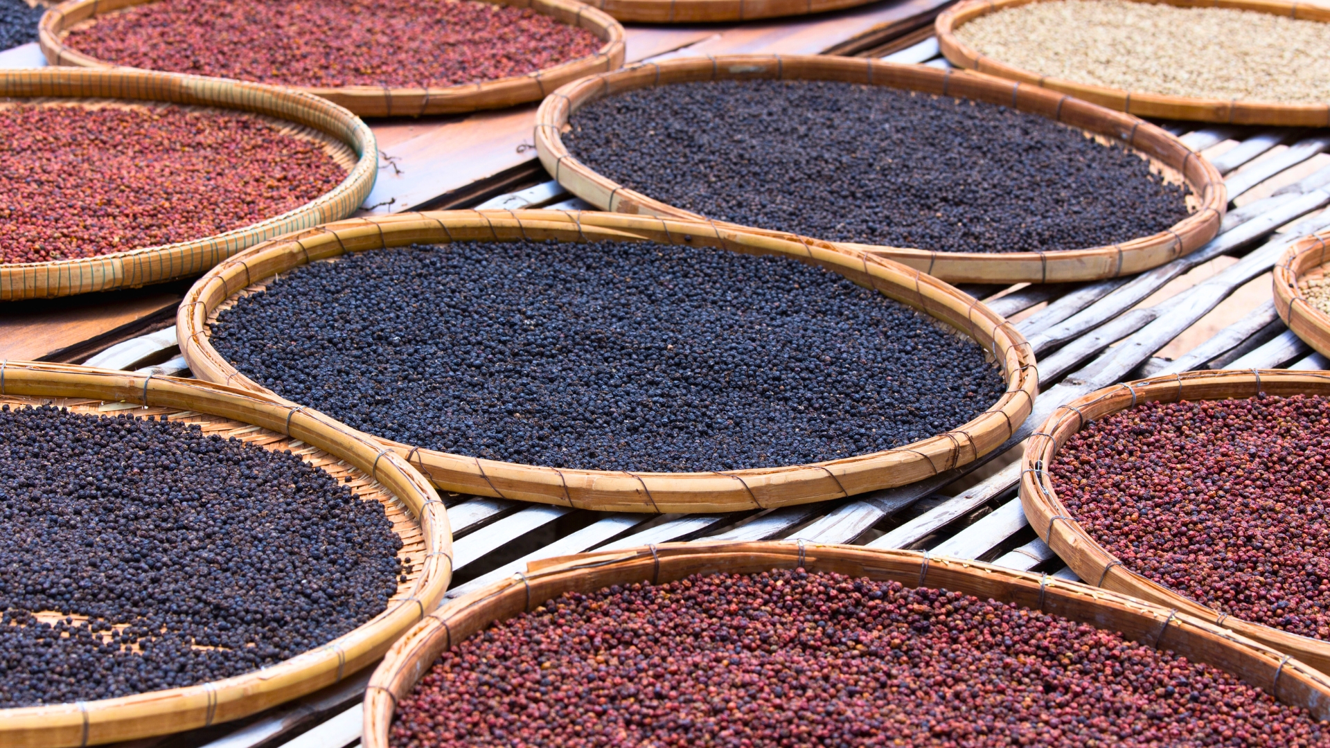 Wycieczka bokor jaskinie farma pieprzu. Suszony pieprz na plantacji