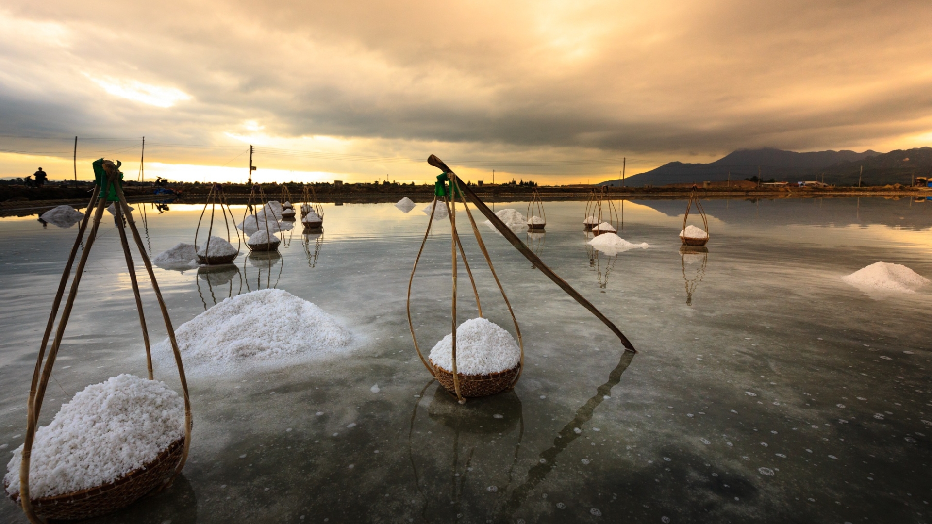 Pola solne w prowincji kampot