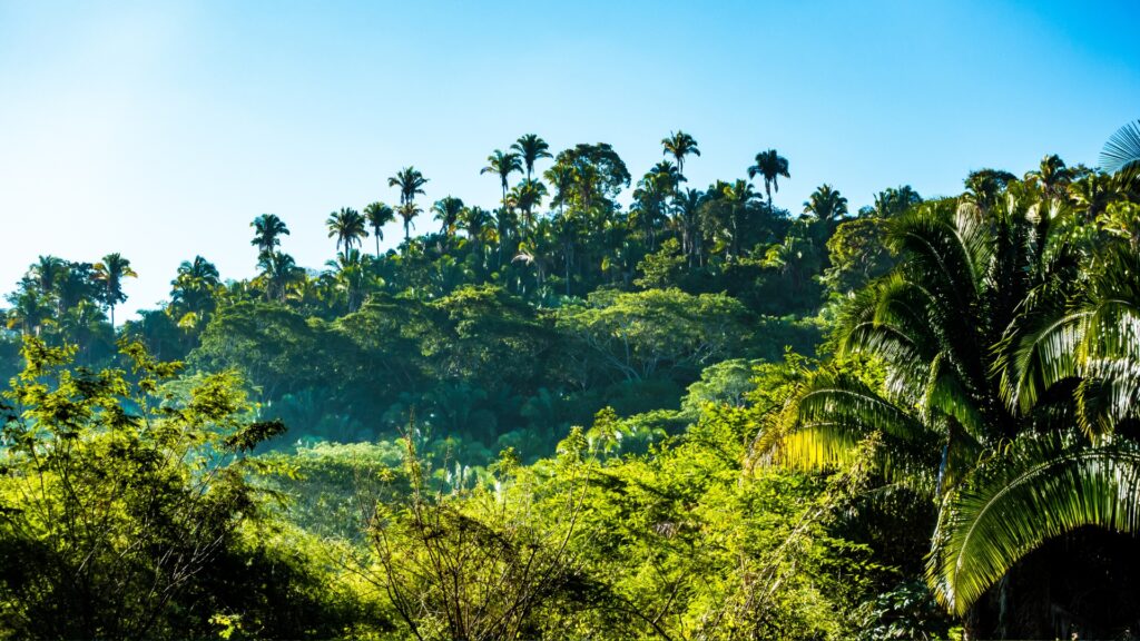 Dżungla Khmerów chi Phat w Kambodży. Wyprawa motocyklowa dookoła Kambodży